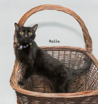 Bella