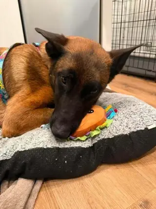 Hera - located in CA