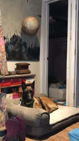Hera - located in CA
