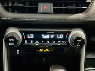 Toyota RAV4 Híbrido 2024 AWD Woodland Edition 4dr SUV