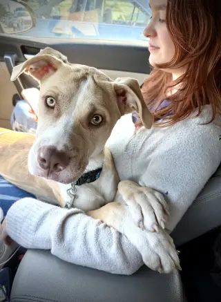 Nala