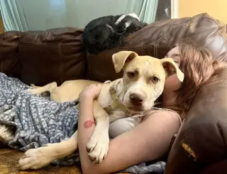 Nala