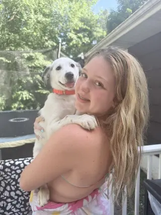Darcy (D Pups)
