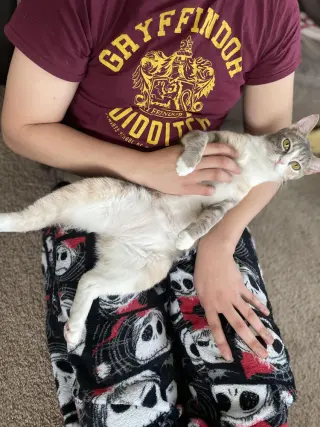 Mango (bonded with Kiwi)
