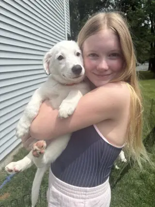 Daphne (D Pups)
