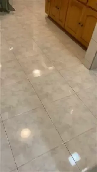 LAVADO D ALFOMBRAS Y SOFAS $55