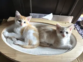 Sundial and Sunburn ***Bonded Pair***