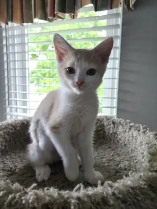 Sundial and Sunburn ***Bonded Pair***