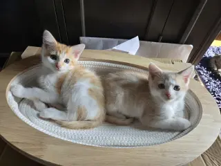 Sundial and Sunburn ***Bonded Pair***