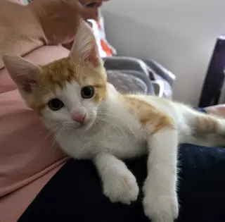 Sundial and Sunburn ***Bonded Pair***