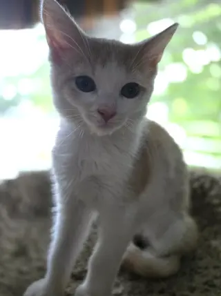Sundial and Sunburn ***Bonded Pair***