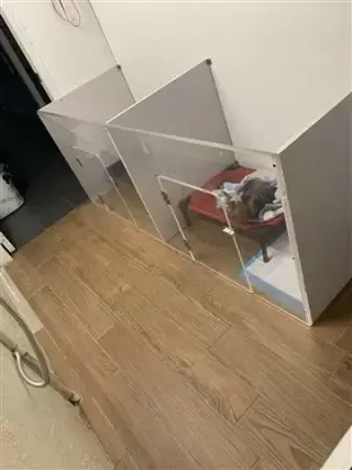 Cuidado de mascota
