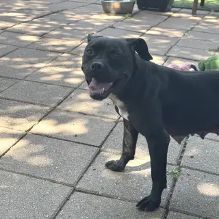 Tilly