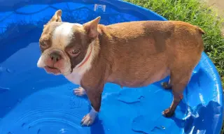 Abby