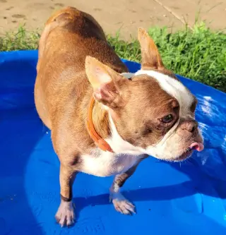 Abby