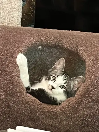 Smudge