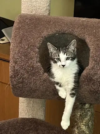Smudge