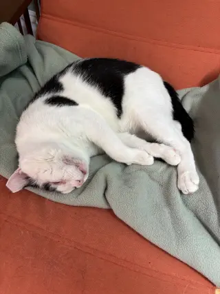 Rigatoni