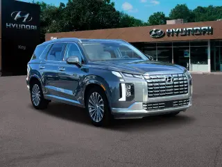 Hyundai PALISADE 2024 AWD Calligraphy 4dr SUV