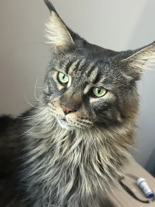 Paul
