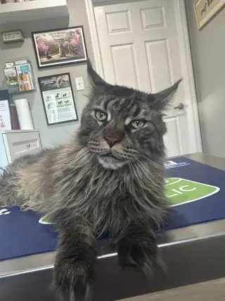 Paul