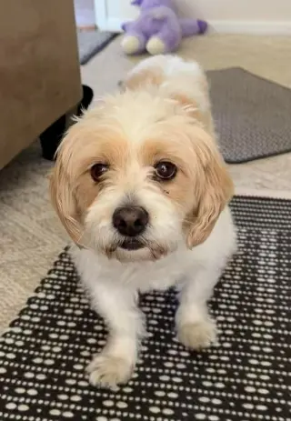 SAMMY