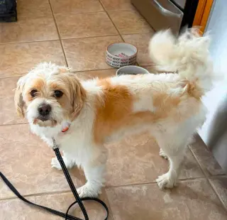 SAMMY