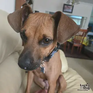 Francesca