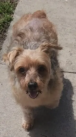 Louie - M