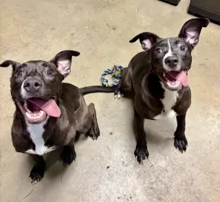 Gamora and Nebula