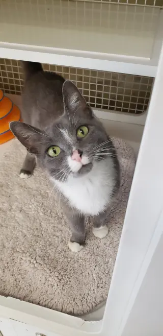 Gracie Mae