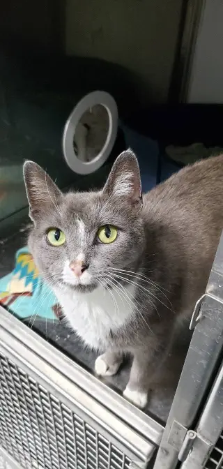Gracie Mae