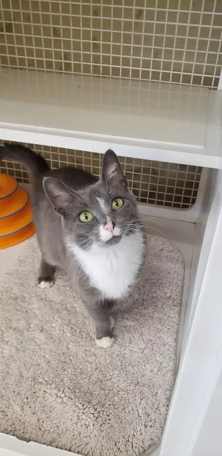 Gracie Mae