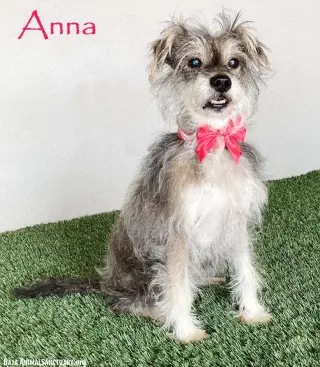 Anna