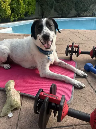 Jack