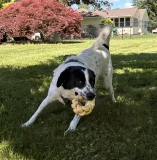 Jack