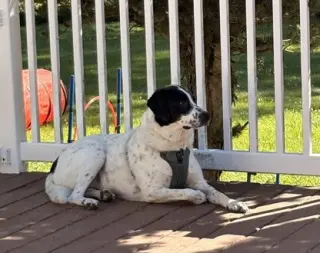 Jack
