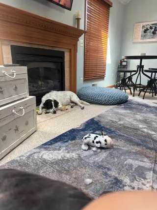 Jack