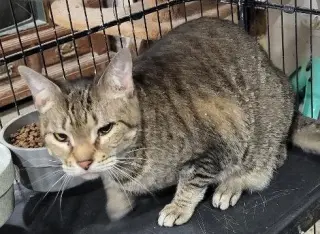 Jam (Bonded with Maramalady)