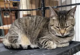 Jam (Bonded with Maramalady)