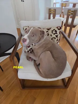 PEARL