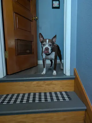 Sir Charles