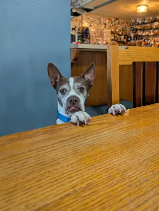 Sir Charles