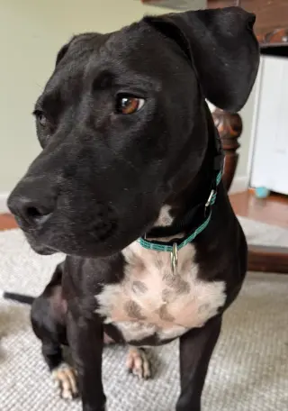 Sheila