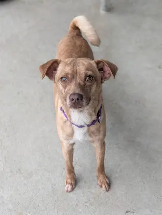 Mr. Brown - Not UPS but looking for a ride to NJ.