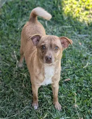 Mr. Brown - Not UPS but looking for a ride to NJ.