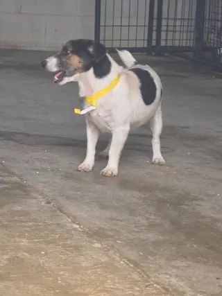 Cosmo~