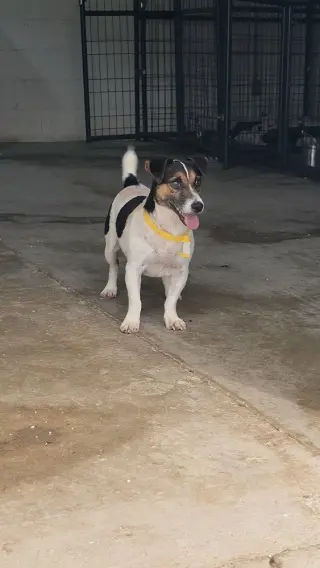 Cosmo~