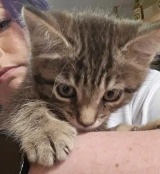 Gina