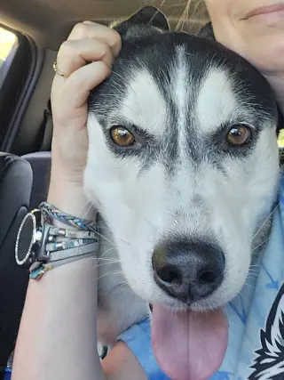 Ace
